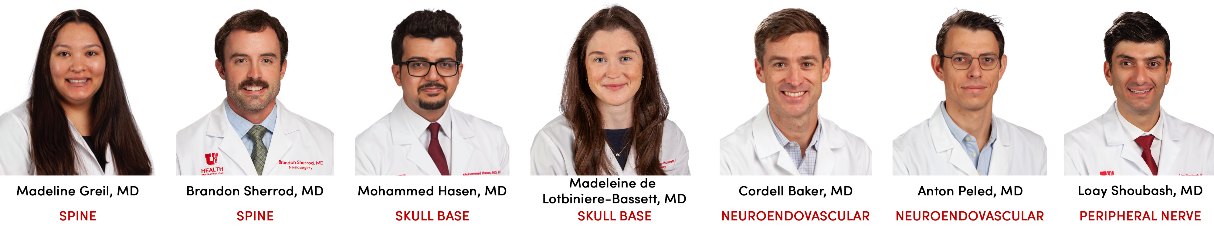 Neurosurgery Fellows 2024-2025