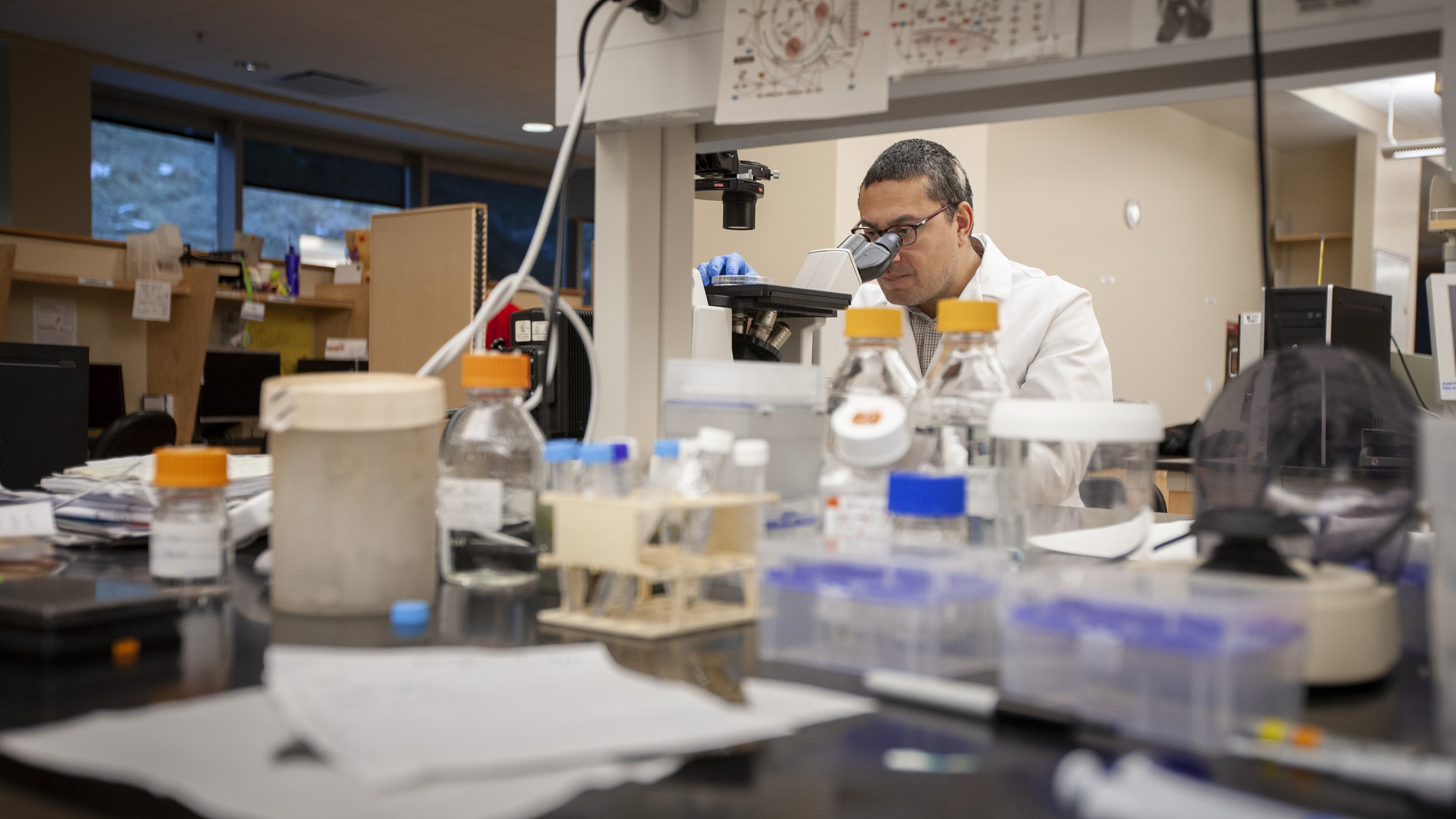 Dr. Cheshier in his lab