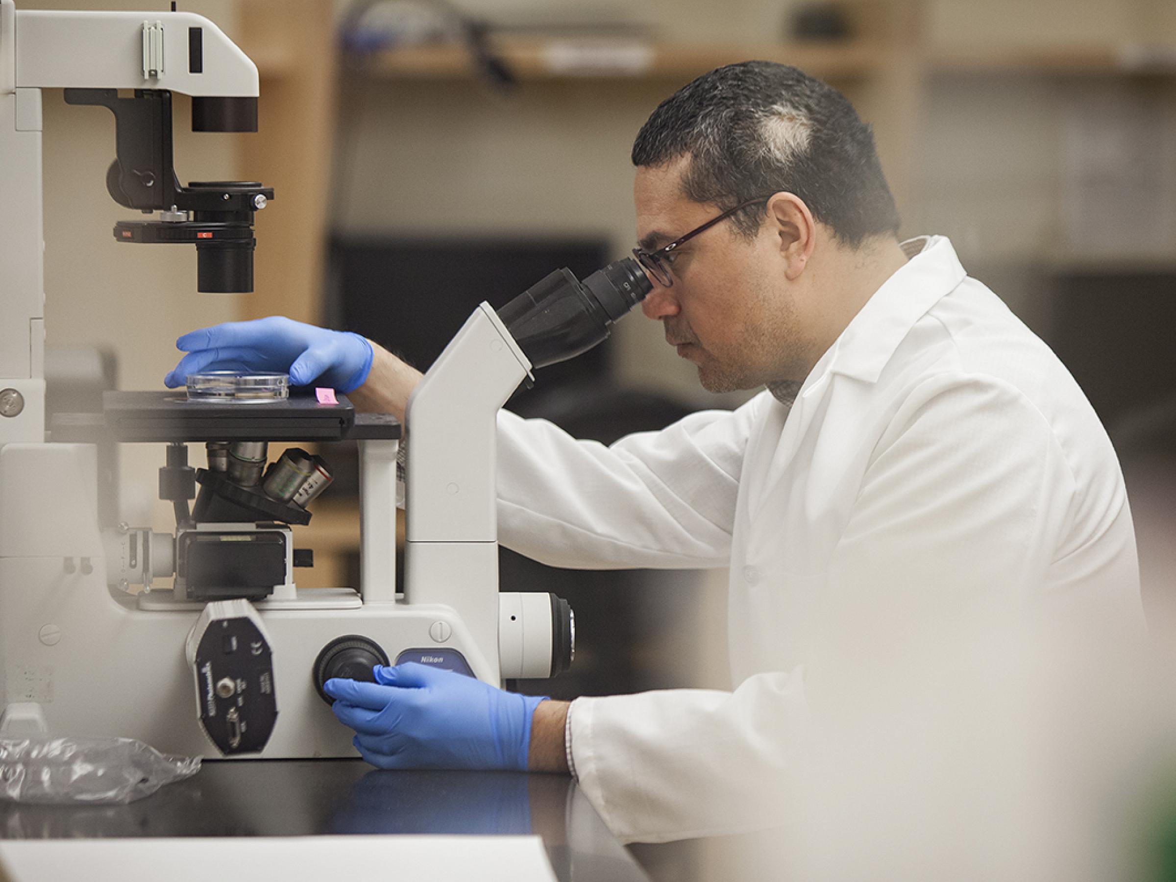Dr. Cheshier in lab looking through microscope