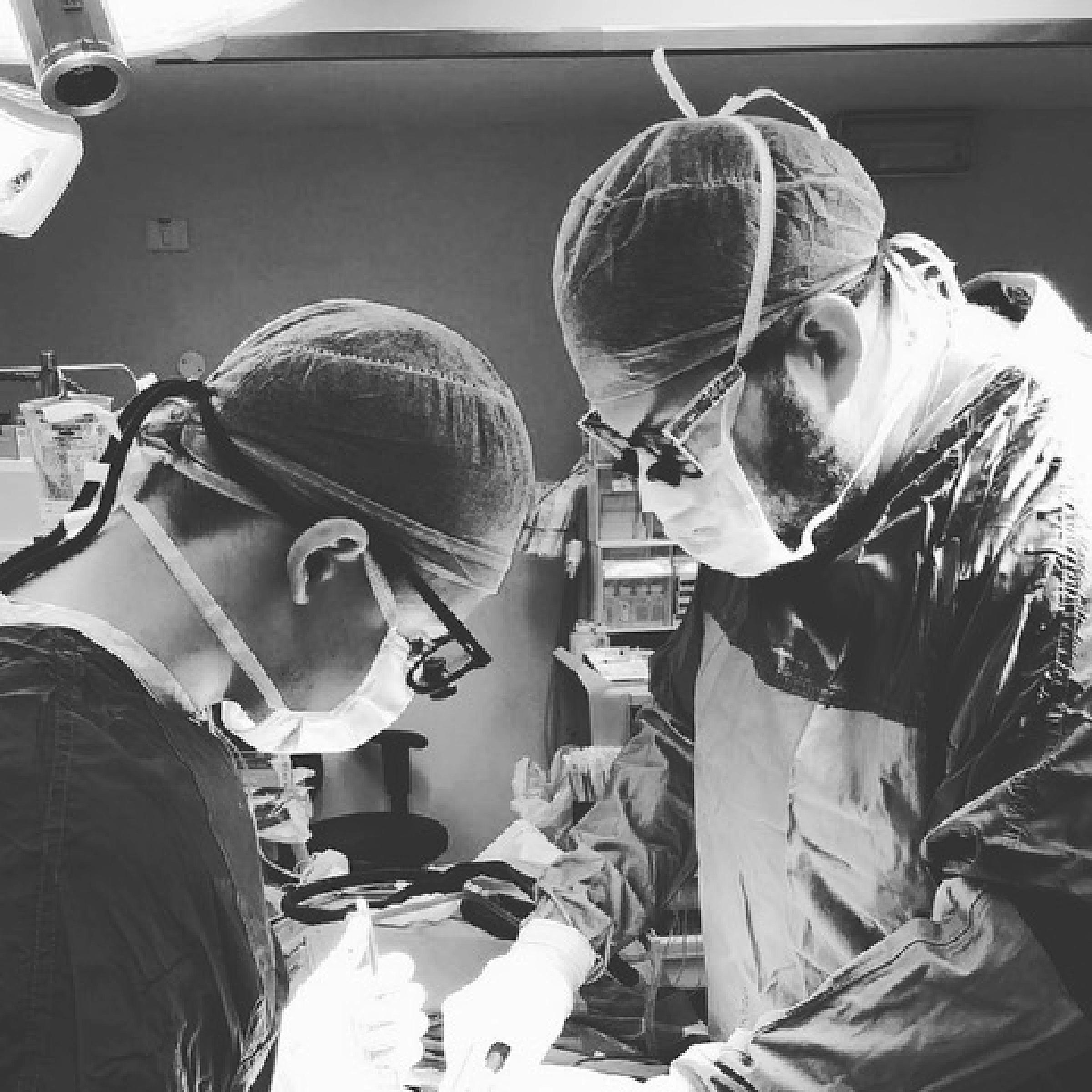 Dr. Shofty performing surgery